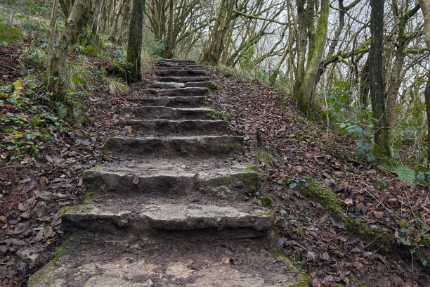 stepping