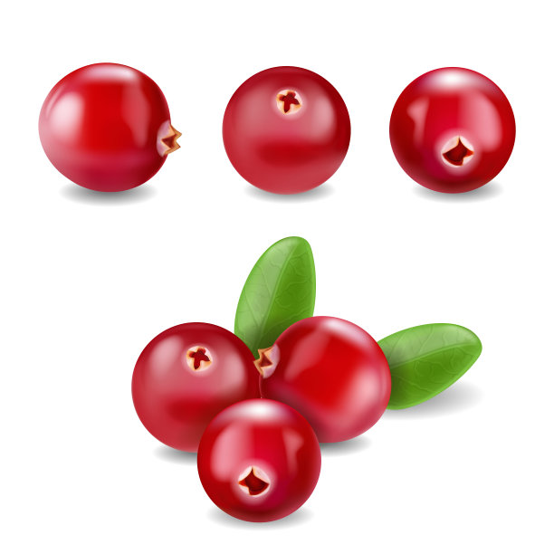 cranberry