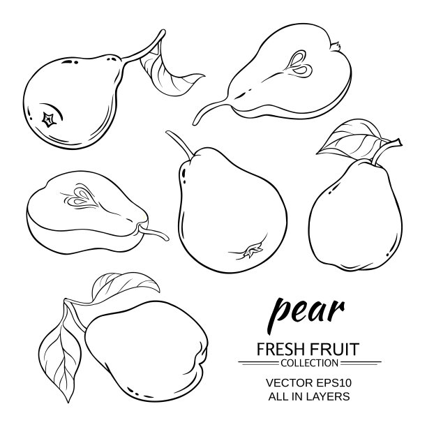 pyrus