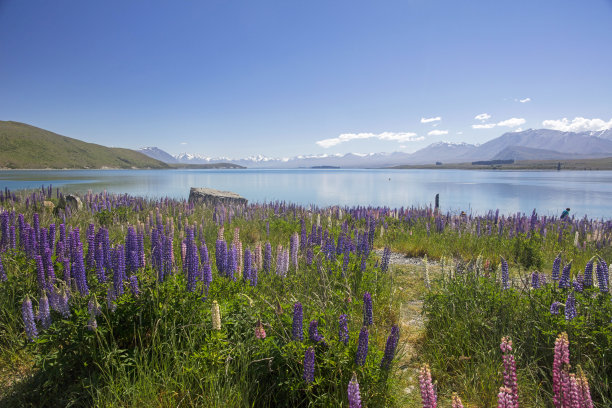 tekapo