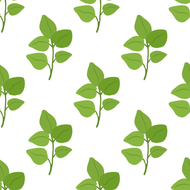 oregano