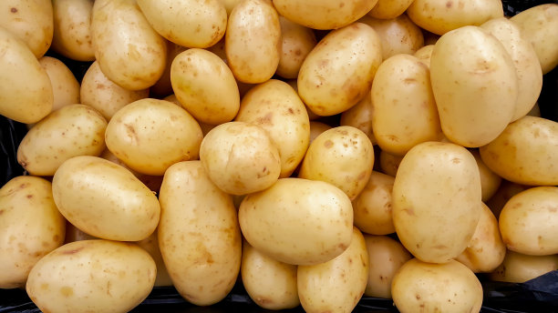 马铃薯 土豆