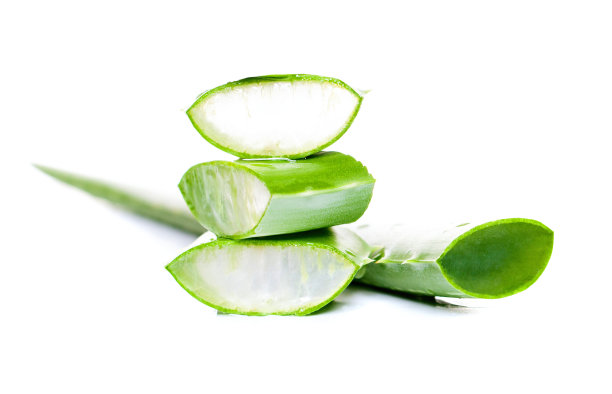 aloe