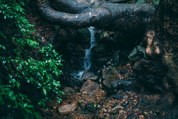 清明节下载