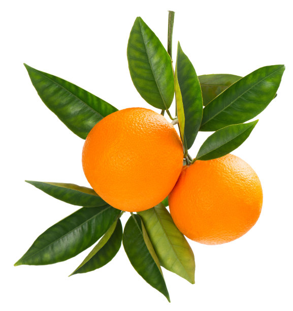 oranges