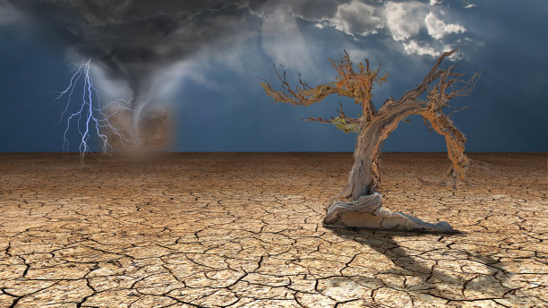 desolate