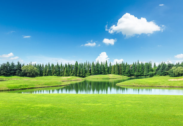 全国生态日背景
