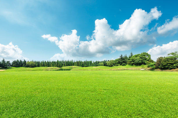 全国生态日背景