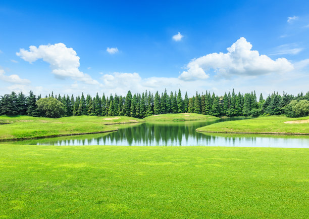 全国生态日背景