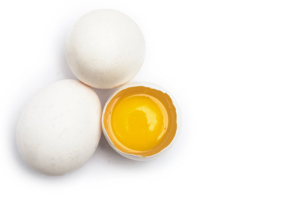 yolk