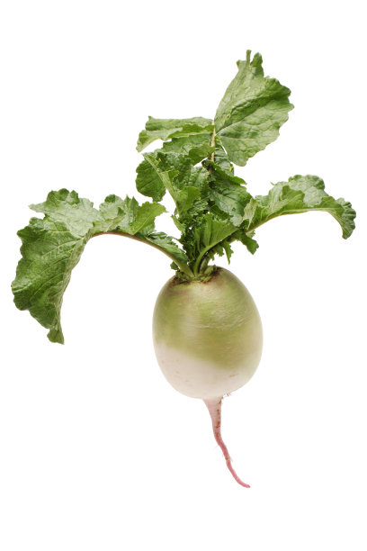 radishes