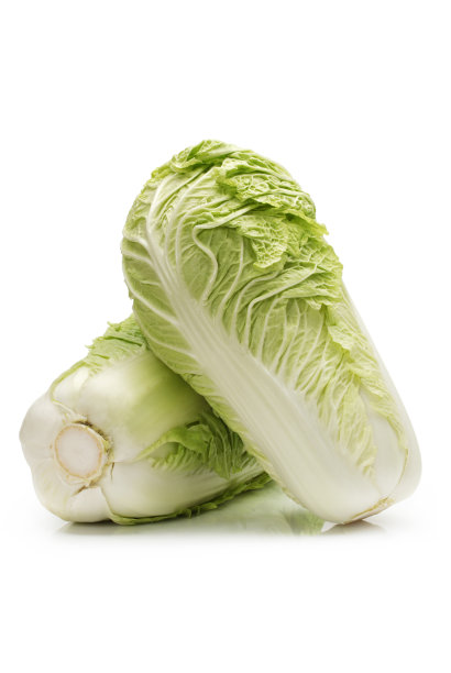 大白菜