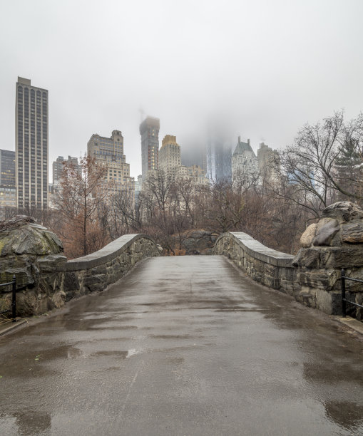 雨后的中央公园