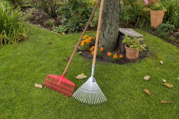 rake