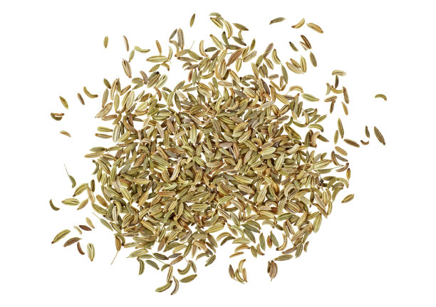fennel