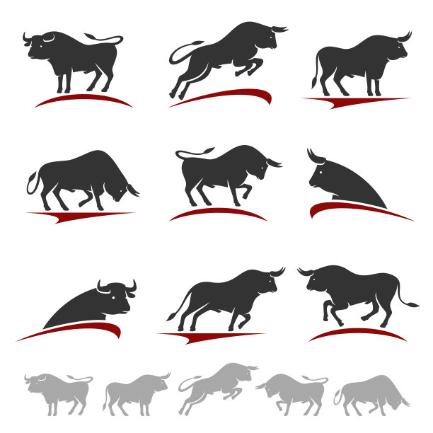 bull