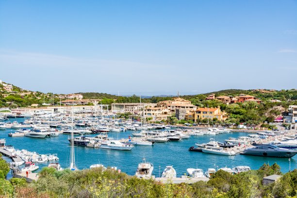 cervo