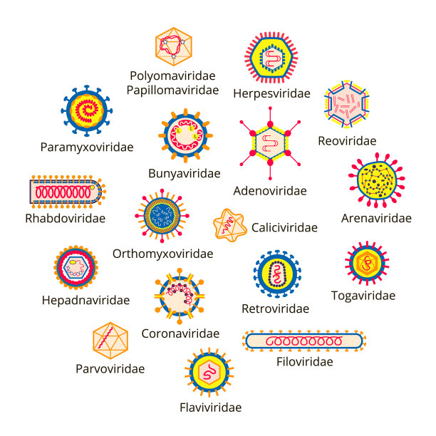 rna