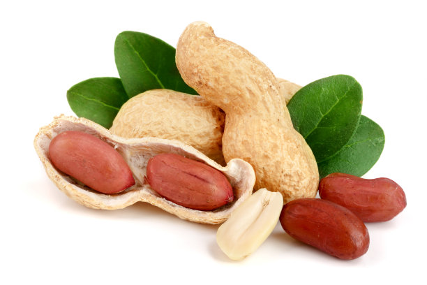 peanut