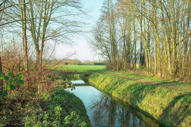 ditch