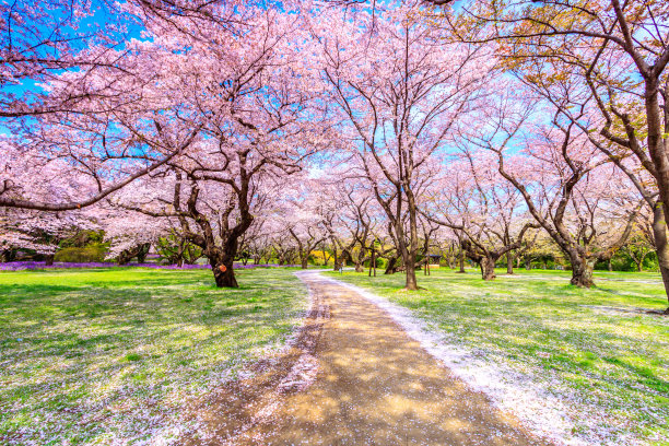 景观隧道