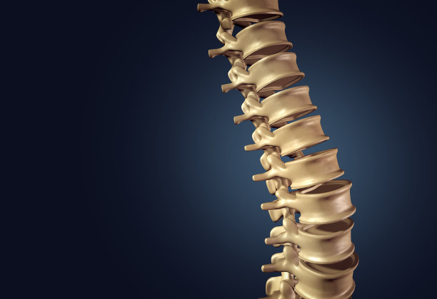 skeleton