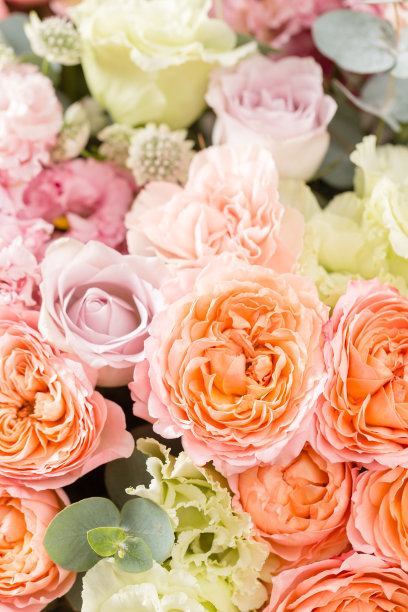 春天百花盛开万物复苏