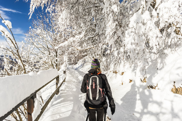 雪地背影