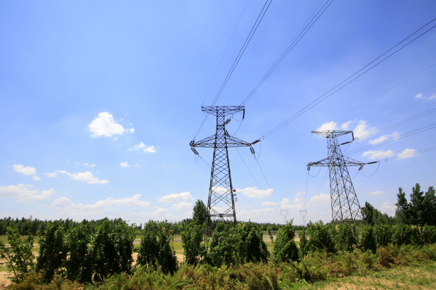 pylons