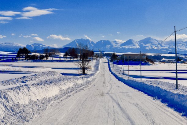 白雪,雪地,雪景