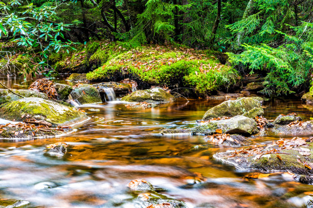 brook