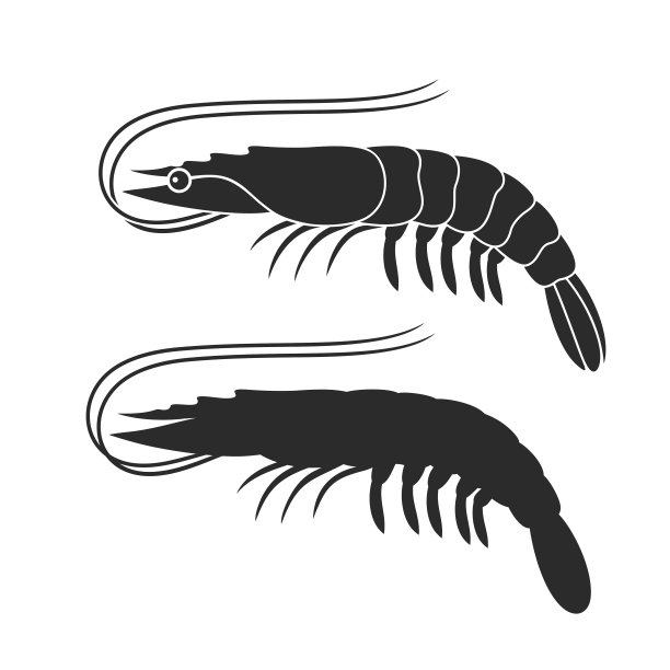 shrimps