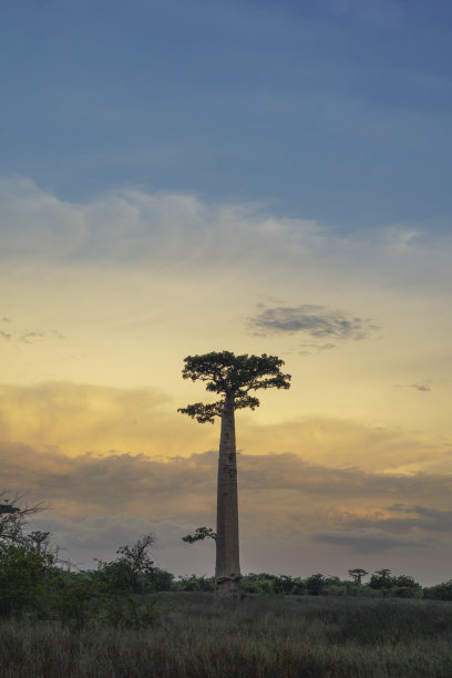 madagascar