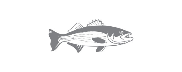 rockfish