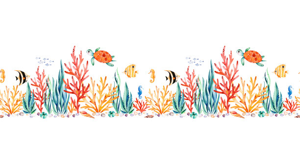 corals
