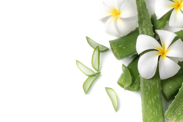 aloe