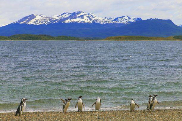 麦哲伦－智利南极区