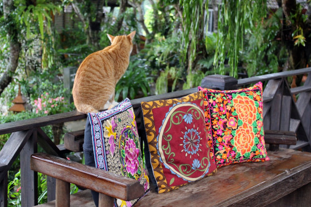 cushion