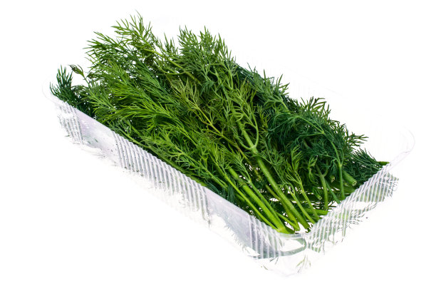 fennel