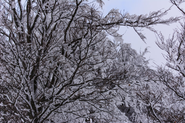 单板滑雪大跳台