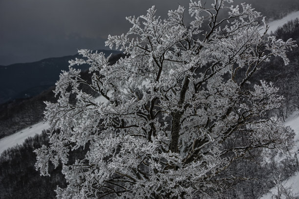 单板滑雪大跳台