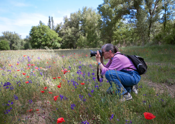 provence