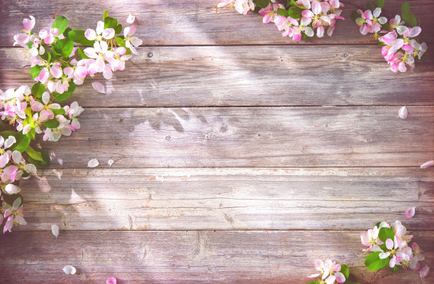 花底纹