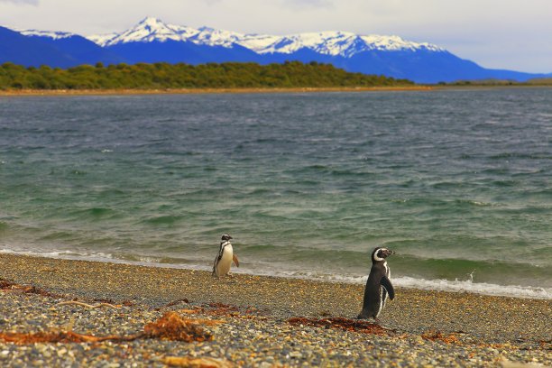 麦哲伦－智利南极区