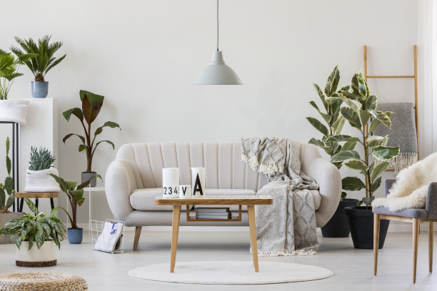 upholstry