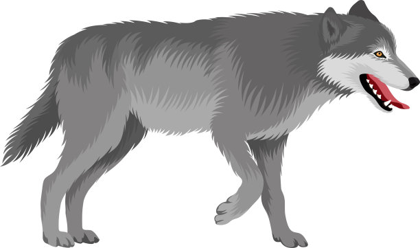 lupus