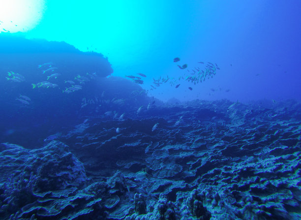 深海探险