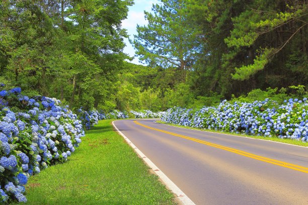 景观山路