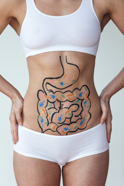 digestion