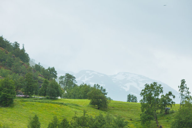 雨后风景